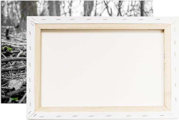 deyoli Der Frühling kommt - wachsende Schneeglöckchen Format: 80x60 als Leinwand, Motiv fertig gerah