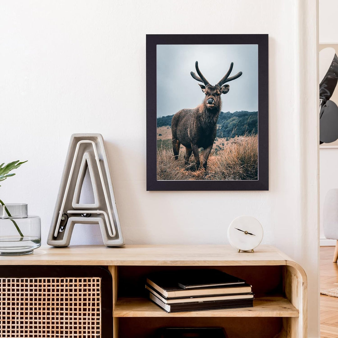 Rahmendesign24 Posterrahmen Milano 60x80 Schwarz (matt) Fotorahmen, Wechselrahmen, Bilderrahmen, Puz