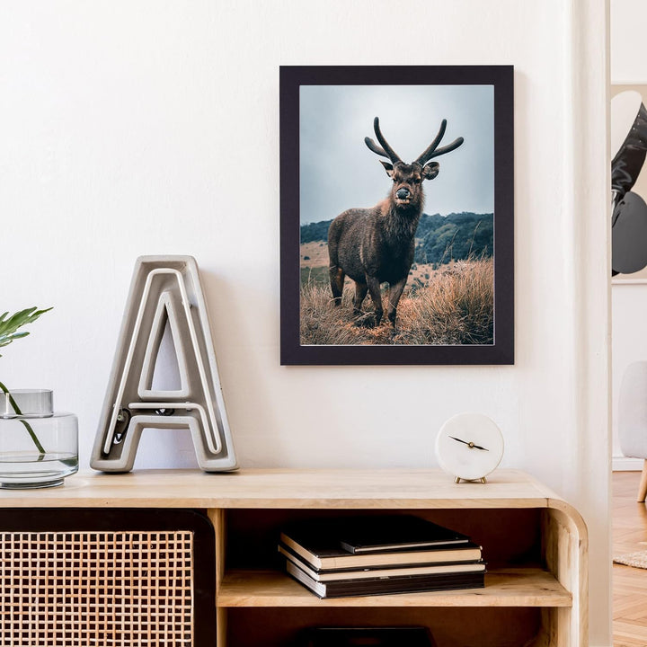 Rahmendesign24 Posterrahmen Milano 60x80 Schwarz (matt) Fotorahmen, Wechselrahmen, Bilderrahmen, Puz