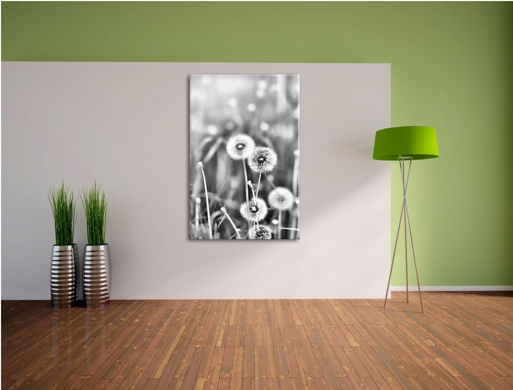 Pixxprint Pusteblumen auf Frühlingswiese/Format: 100x70cm / Leinwandbild fertig bespannt Wandbild Ku