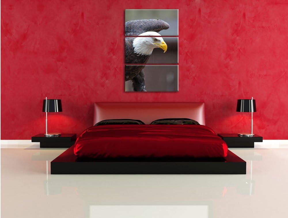 Adler 3-Teiler Leinwandbild 120x80 Bild auf Leinwand, XXL riesige Bilder fertig gerahmt mit Keilrahm