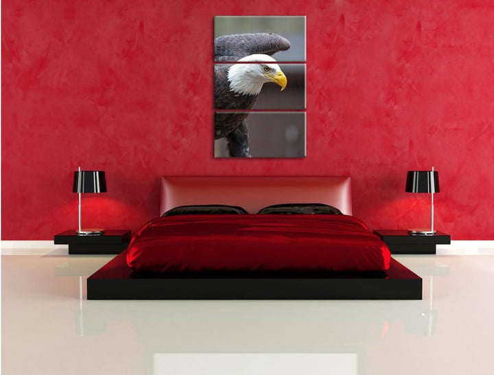 Adler 3-Teiler Leinwandbild 120x80 Bild auf Leinwand, XXL riesige Bilder fertig gerahmt mit Keilrahm