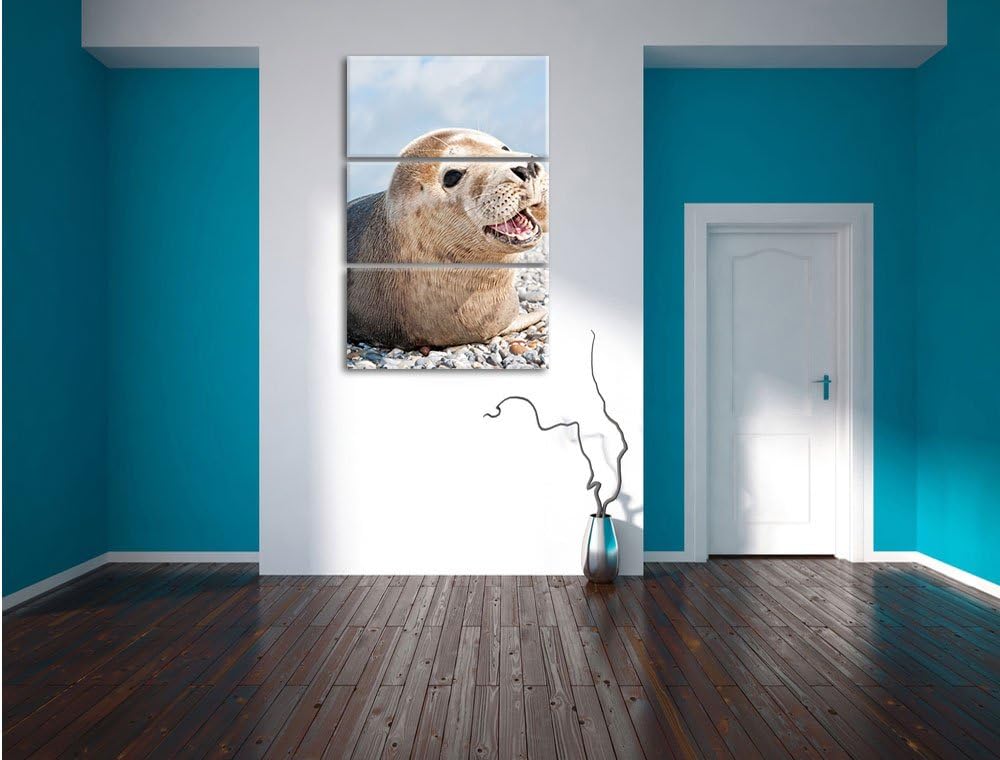 Pixxprint Süsse Robbe auf Steinstrand als Leinwandbild/Grösse: 3 Teilig (120x80 cm) cm/Wandbild/Kuns