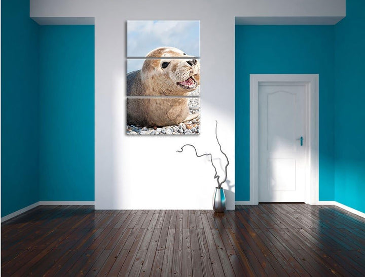 Pixxprint Süsse Robbe auf Steinstrand als Leinwandbild/Grösse: 3 Teilig (120x80 cm) cm/Wandbild/Kuns