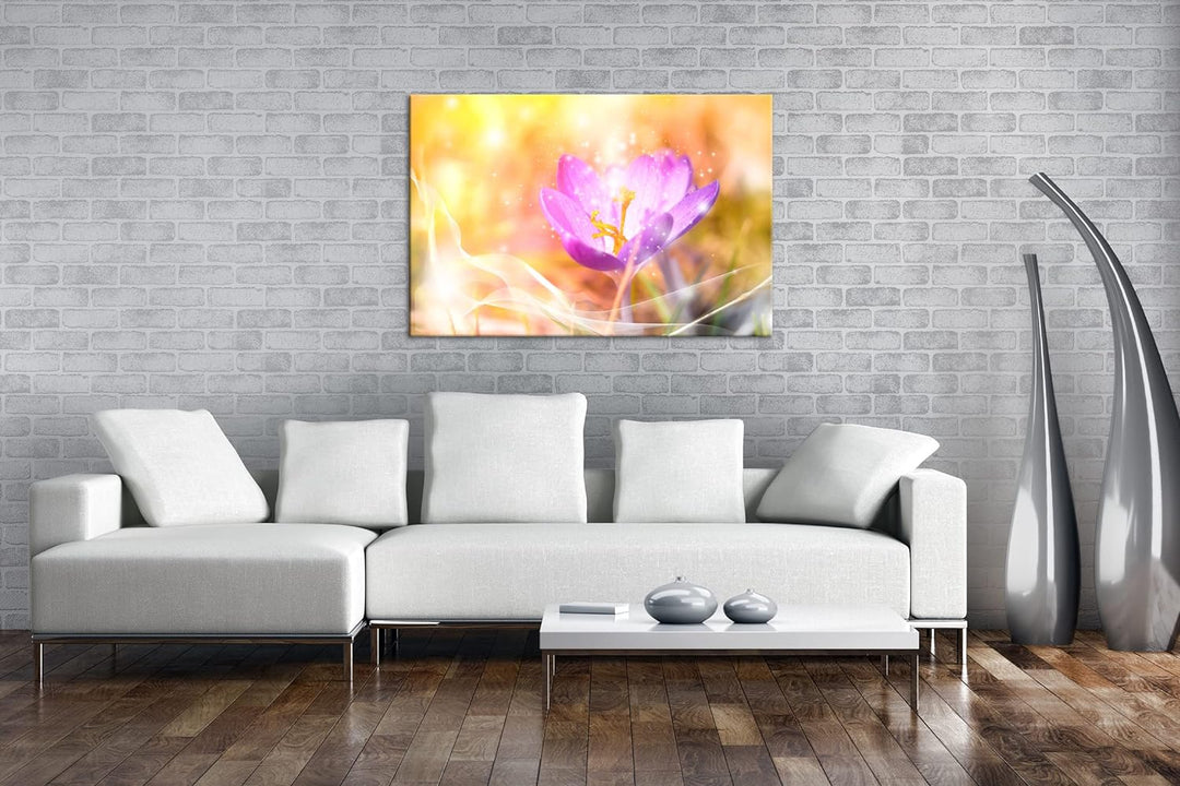 deyoli blühender frühlings Krokus Format: 80x60 als Leinwandbild, Motiv fertig gerahmt auf Echtholzr