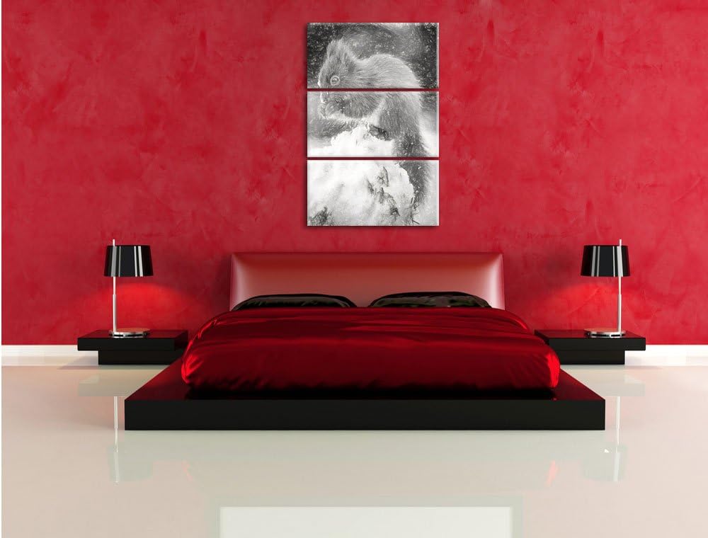 Pixxprint Kleines Eichhörnchen im Winter als Leinwandbild/Grösse: 3 Teilig (120x80) cm/Wandbild/Kuns