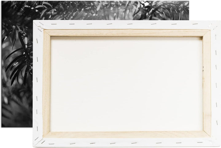 deyoli Eibe mit Früchten Effekt: Schwarz&Weiss Format: 80x60 als Leinwandbild, Motiv fertig gerahmt