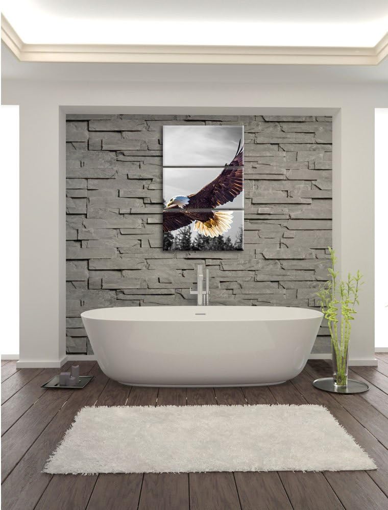 Pixxprint grosser Fliegender Adler schwarz/weiss als Leinwandbild | Grösse: 3 Teilig (120x80) | Wand