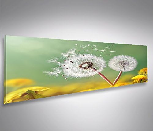 islandburner Bild Bilder auf Leinwand Pusteblume V2 Natur Blumen Panorama XXL Poster Leinwandbild Wa