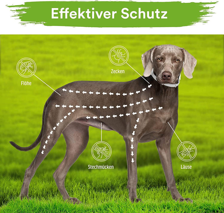 MC-Royal® Deluxe Zeckenhalsband für Hunde - 100% natürliche Inhaltsstoffe - bis zu 8 Monate zuverläs