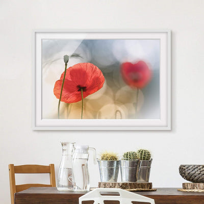 Bild mit Rahmen - Mohnblumen am Morgen - Rahmenfarbe Weiss, 70 x 100 cm 70cm x 100cm Weiss, 70cm x 1