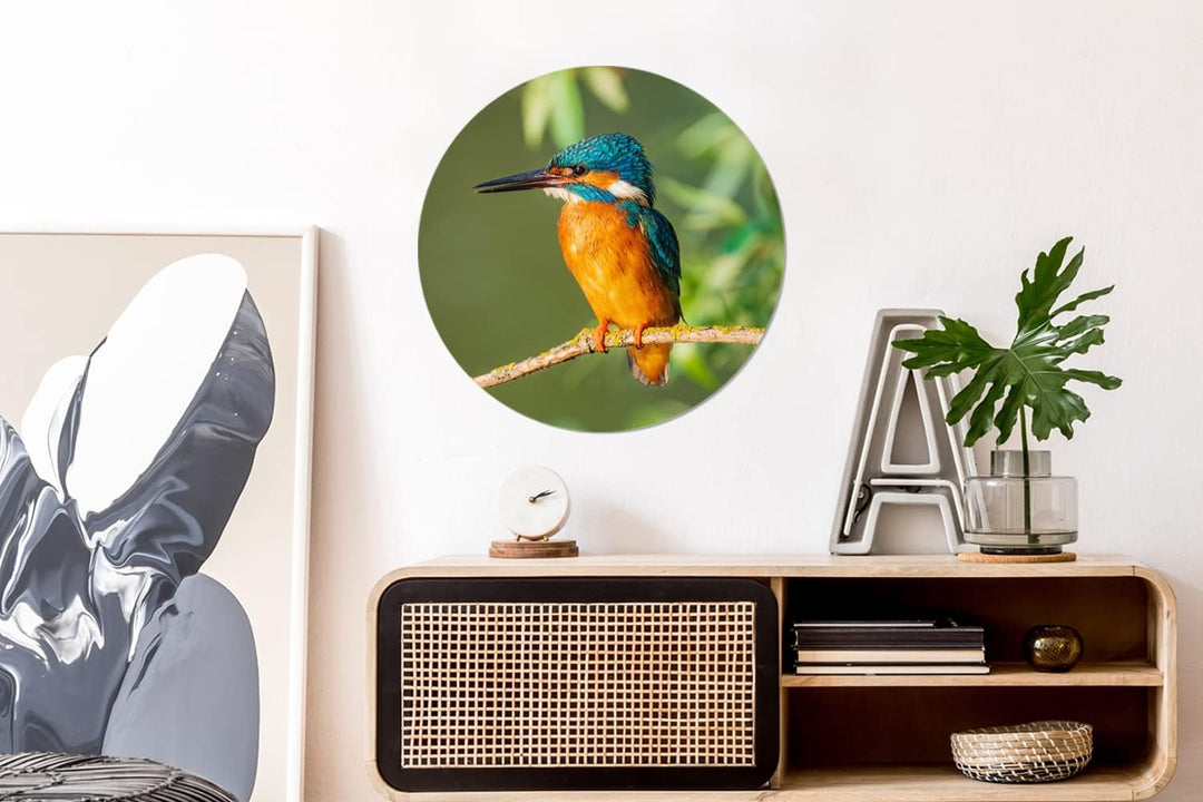 MuchoWow Wandbild Rund Wanddeko Deko Wohnzimmer Bilder 60x60 cm Vogel - Eisvogel - Zweig - Blätter -