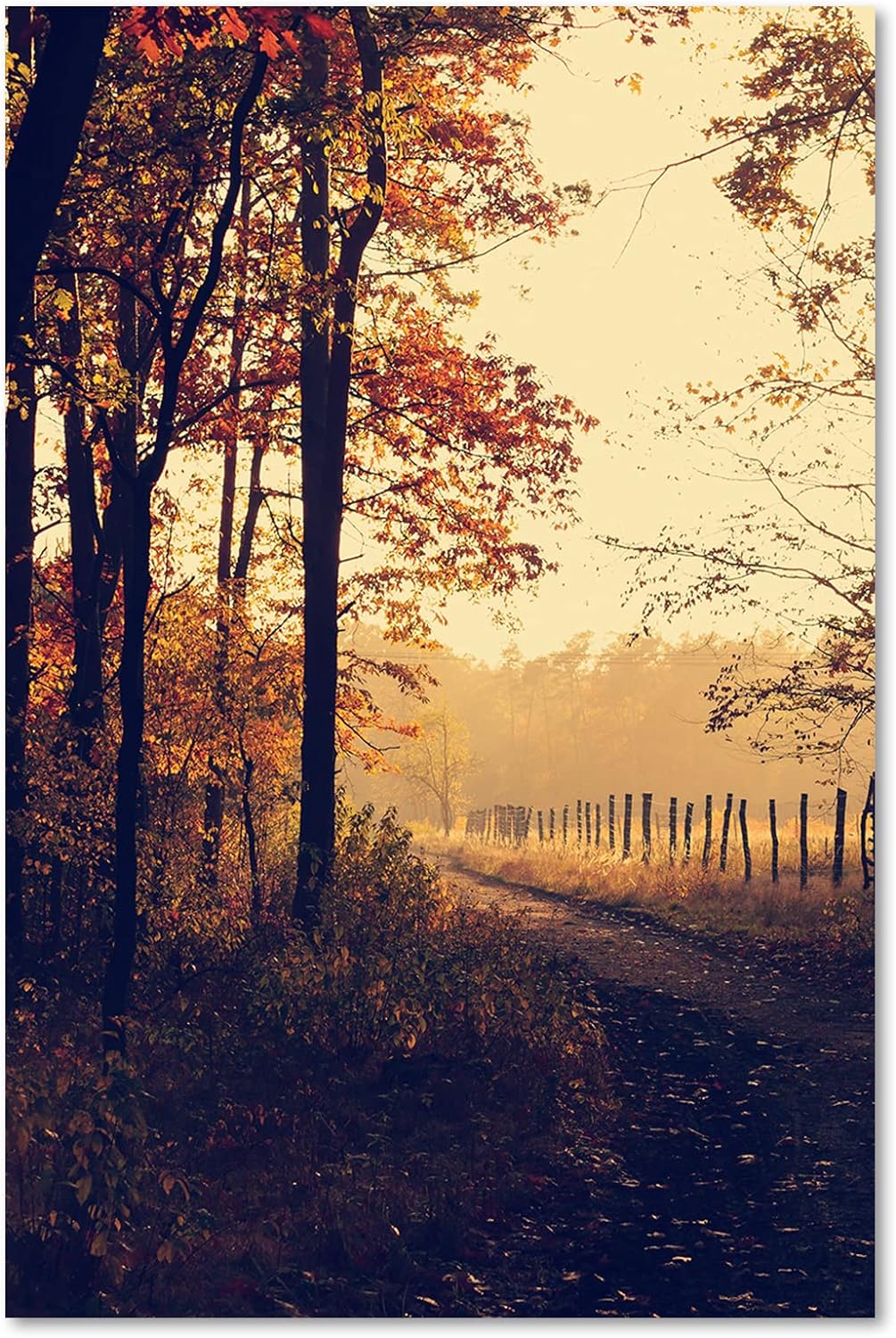 Feeby Vlies Leinwandbild Pflanzen Bäume Wald Natur 60x90 cm Druckbild Wandbild Wanddekoration Deko W