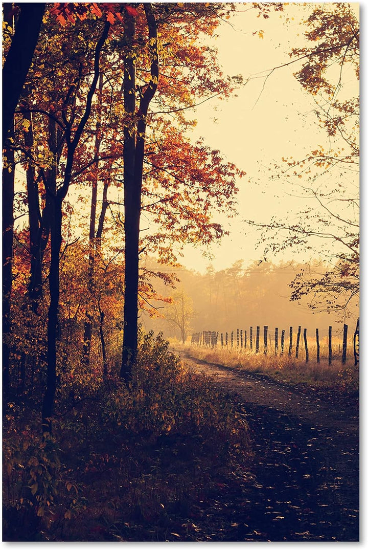 Feeby Vlies Leinwandbild Pflanzen Bäume Wald Natur 60x90 cm Druckbild Wandbild Wanddekoration Deko W