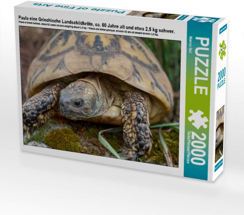 CALVENDO Puzzle Paula eine Griechische Landschildkröte, ca. 60 Jahre alt und etwa 2,5 kg schwer. 200