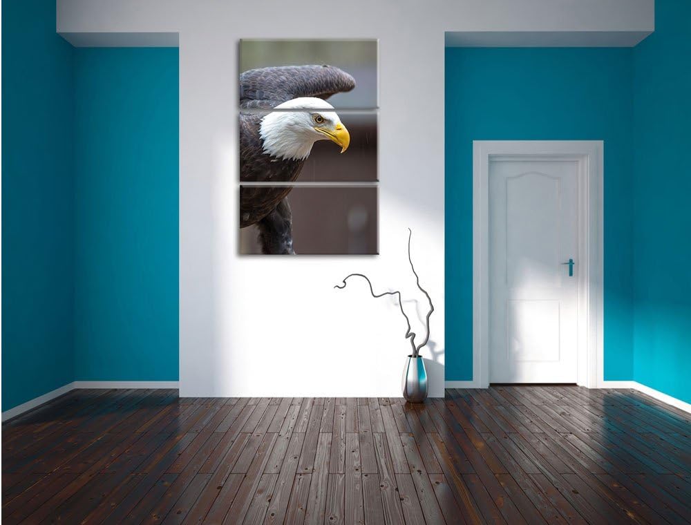 Adler 3-Teiler Leinwandbild 120x80 Bild auf Leinwand, XXL riesige Bilder fertig gerahmt mit Keilrahm