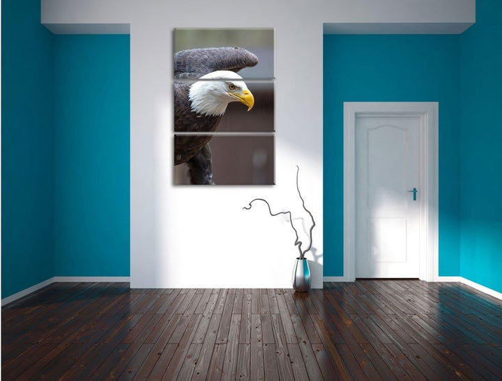 Adler 3-Teiler Leinwandbild 120x80 Bild auf Leinwand, XXL riesige Bilder fertig gerahmt mit Keilrahm