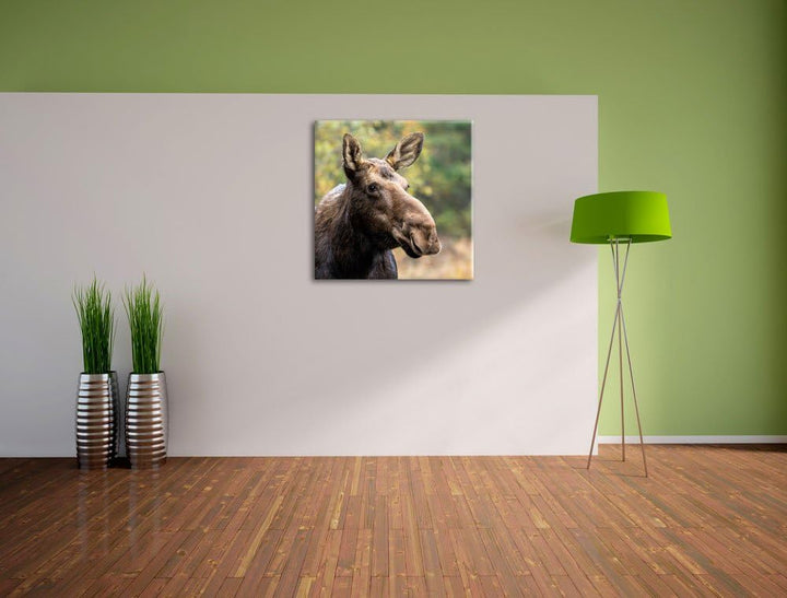 Pixxprint Elch im Wald, Format: 70x70 auf Leinwand, XXL riesige Bilder fertig gerahmt mit Keilrahmen
