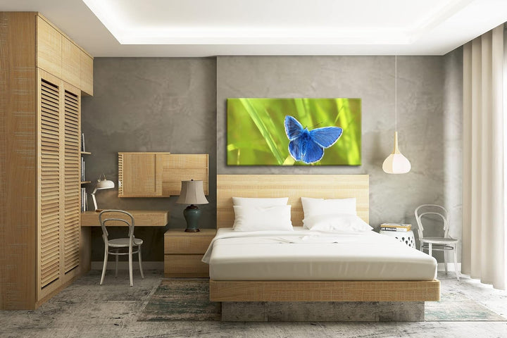 kleiner blauer Schmetterling Panorama 80x40 cm als Leinwandbild, Motiv fertig gerahmt auf Echtholzra