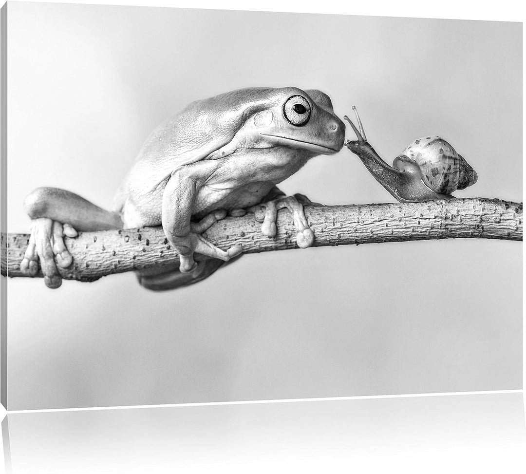 Pixxprint Frosch und die Schnecke als Leinwandbild/Grösse: 100x70 cm/Wandbild/Kunstdruck/fertig besp