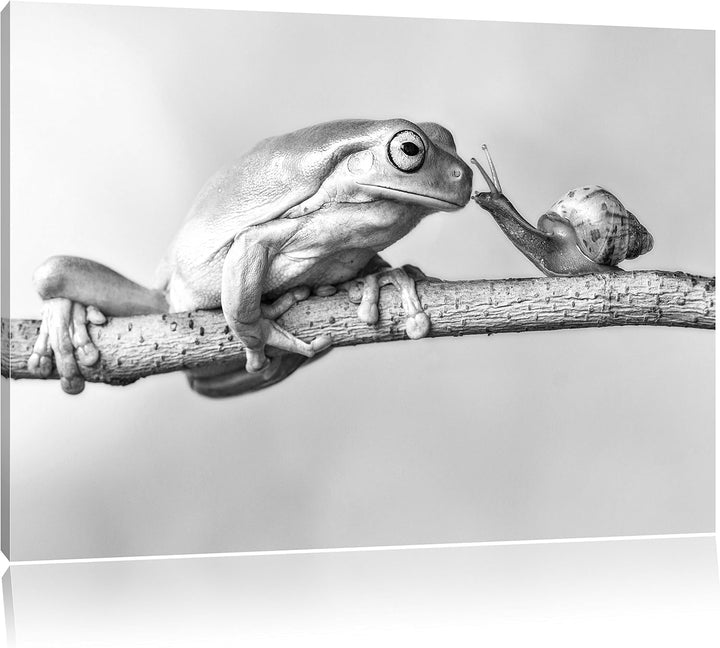Pixxprint Frosch und die Schnecke als Leinwandbild/Grösse: 100x70 cm/Wandbild/Kunstdruck/fertig besp