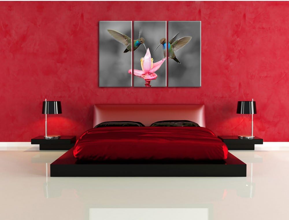 Pixxprint Kolibris in den Tropen als Leinwandbild/Grösse: 3 Teilig (120x80) cm/Wandbild/Kunstdruck/f