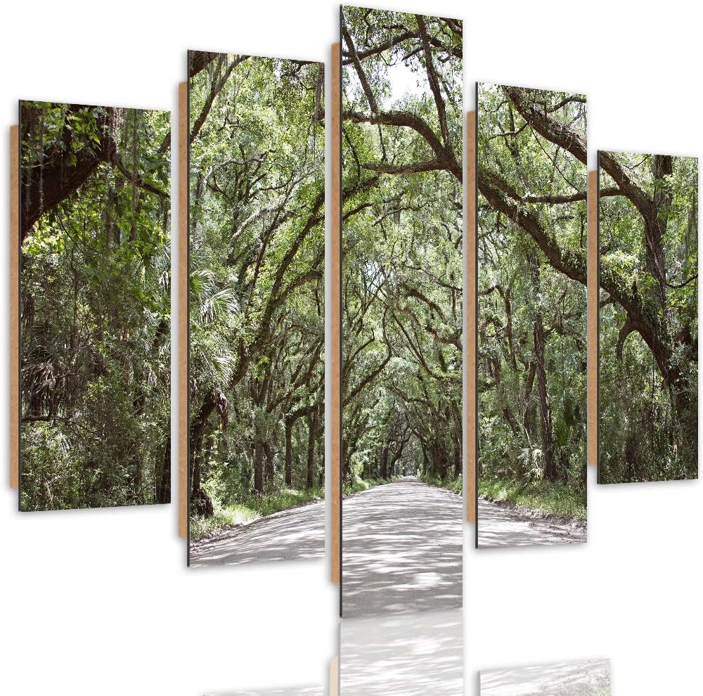 Feeby Deco Panel 5 Teilig Natur Bilder Modern Landschaft Bäume Weg Allee grün 200x100 cm Deco panel