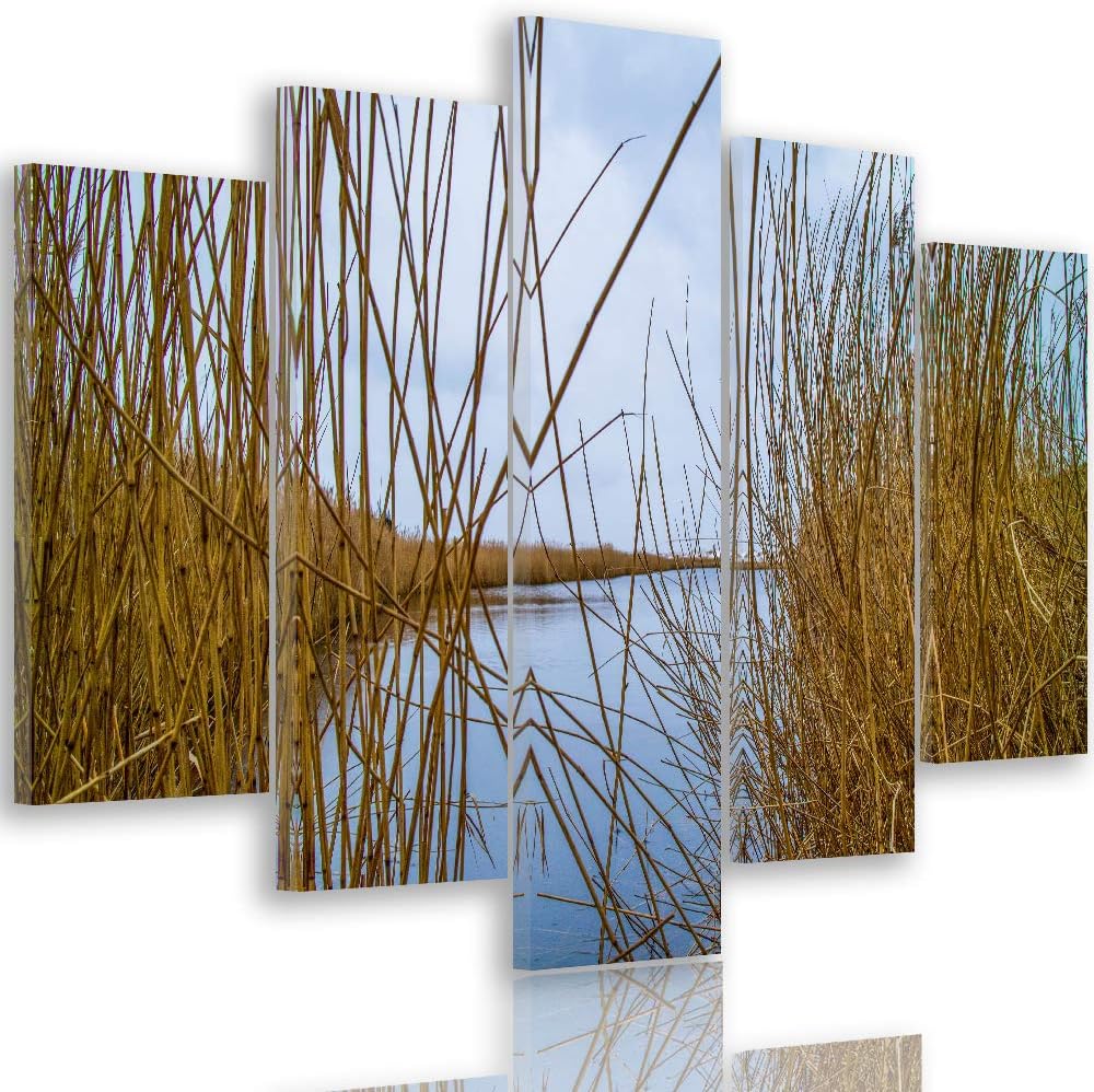 Feeby Leinwandbild 5 Teilig Natur Bild Wanddeko Kalmus See Wasser Himmel braun 150x100 cm Leinwandbi