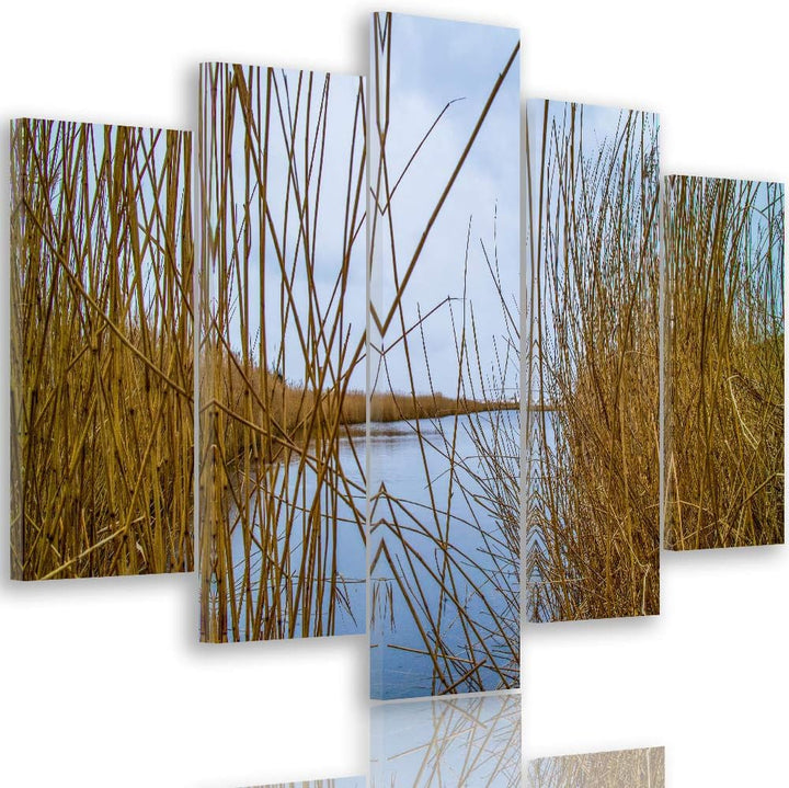 Feeby Leinwandbild 5 Teilig Natur Bild Wanddeko Kalmus See Wasser Himmel braun 150x100 cm Leinwandbi