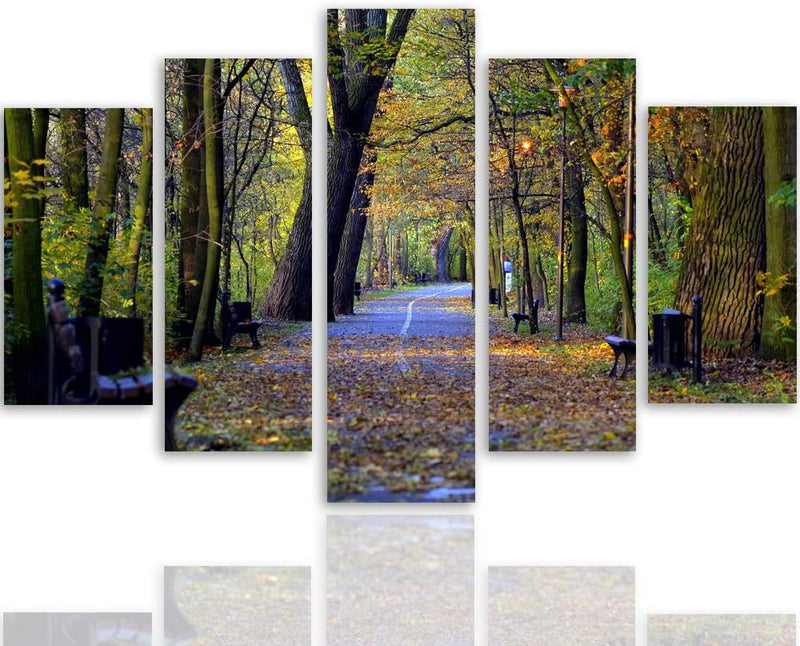Leinwandbild 5 Teilig Landschaft Bild Wanddeko Park Allee Herbst bunt 200x100 cm Leinwandbild 200x10