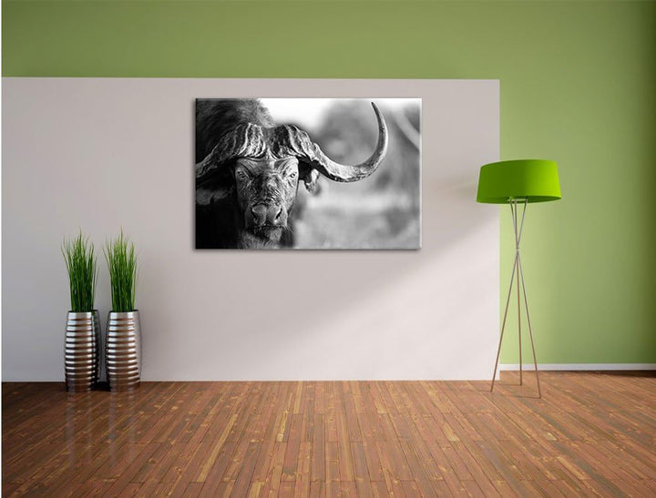 Pixxprint Kaffernbüffel mit kräftigen Hörnern Kunst B&W, Format: 100x70 auf Leinwand, XXL riesige Bi