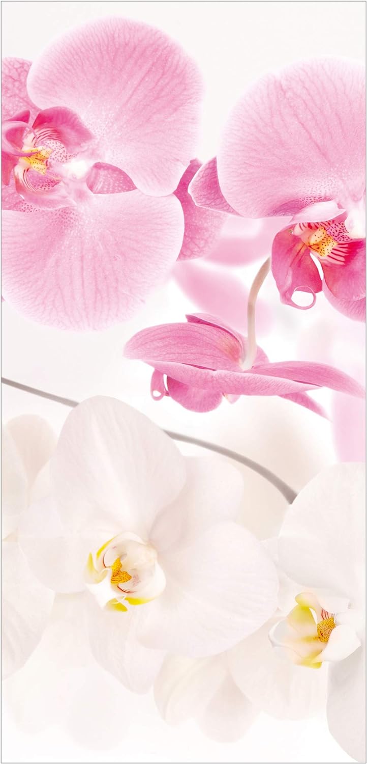 Bilderwelten Raumteiler Orchideen Delicate Orchids 250x120cm inkl. transparenter Halterung 250x120cm