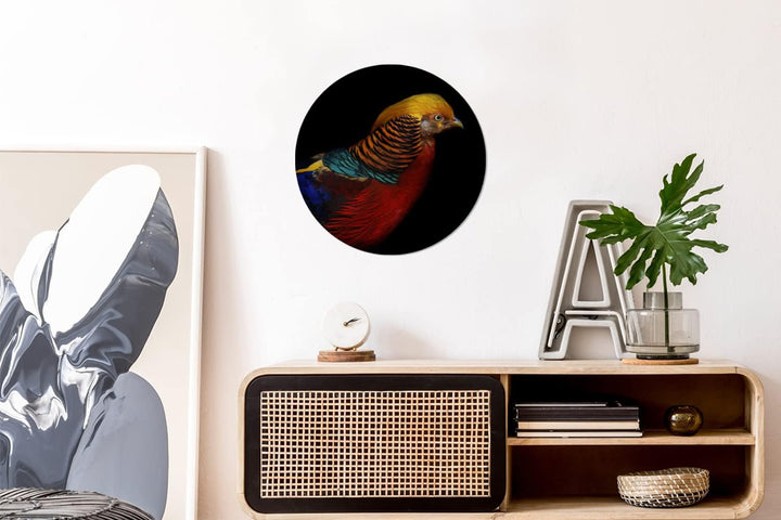 MuchoWow Wandbild Rund Wanddeko Deko Wohnzimmer Bilder 30x30 cm Vogel - Federn - Schwarz - Porträt,
