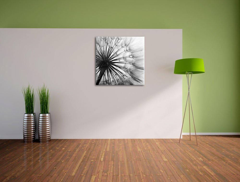 Pixxprint Schöne Pusteblume Schwarz/Weiss, Format: 70x70 auf Leinwand, 70x70