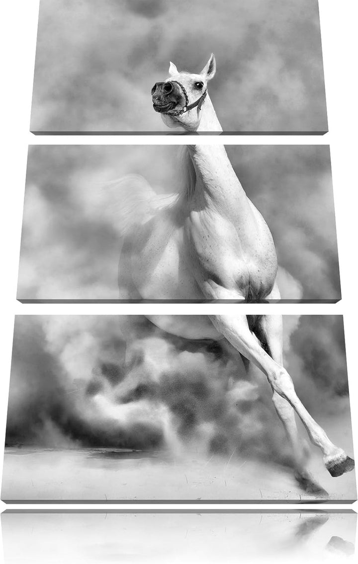 Pixxprint Weisses Pferd in der Wüste als Leinwandbild/Grösse: 3 Teilig (120x80) cm/Wandbild/Kunstdru