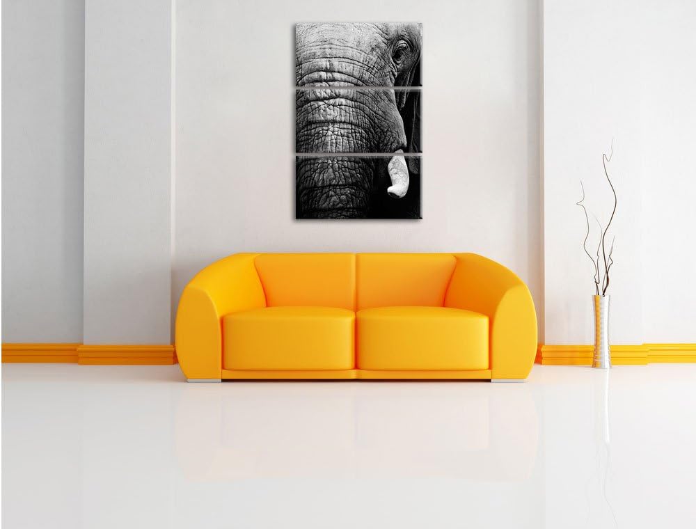Pixxprint Elefant im Porträt als Leinwandbild/Grösse: 3 Teilig (120x80) cm/Wandbild/Kunstdruck/ferti