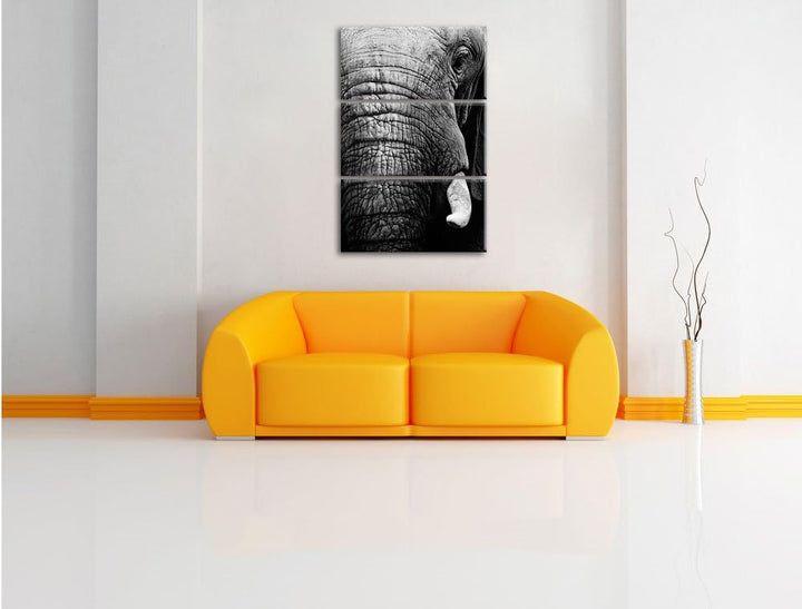 Pixxprint Elefant im Porträt als Leinwandbild/Grösse: 3 Teilig (120x80) cm/Wandbild/Kunstdruck/ferti