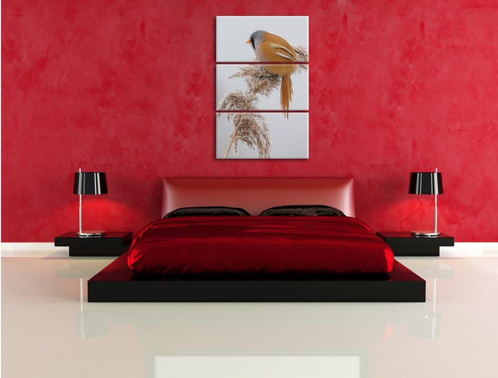 Pixxprint Vogel auf Weizen im Winter als Leinwandbild/Grösse: 3 Teilig (120x80) cm/Wandbild/Kunstdru