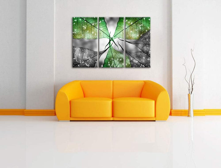 grüne Blätter mit Wassertropfen schwarz/weiss 3-Teiler Leinwandbild 120x80 Bild auf Leinwand, XXL ri