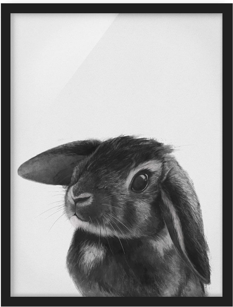 Bild gerahmt Hase Schwarz Weiss Zeichnung Schwarz ohne Passepartout 70x50cm 70cm x 50cm Schwarz - Oh