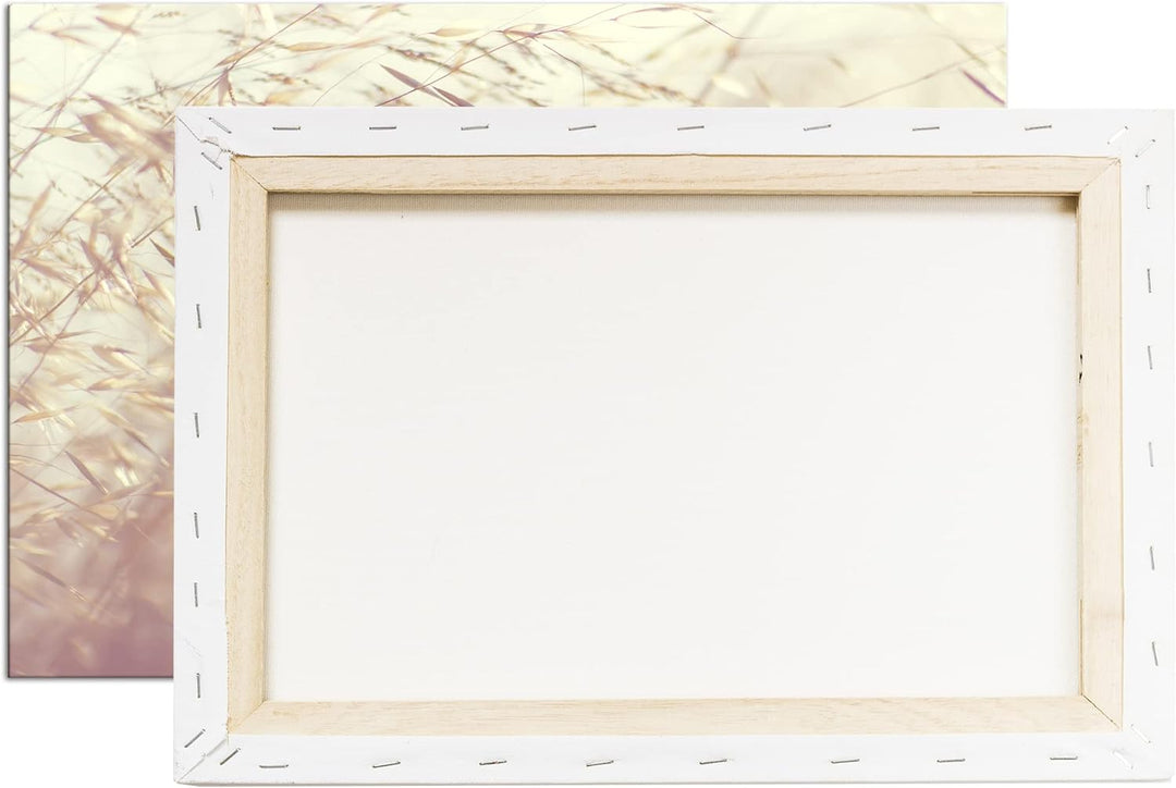 deyoli Wiesengräser Format: 80x60 als Leinwand, Motiv fertig gerahmt auf Echtholzrahmen, Hochwertige