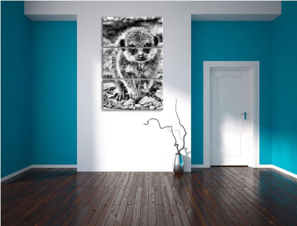 Pixxprint Monocrome, junges Erdmännchen zwischen Steinen 3-Teiler Leinwandbild 120x80 Bild auf Leinw