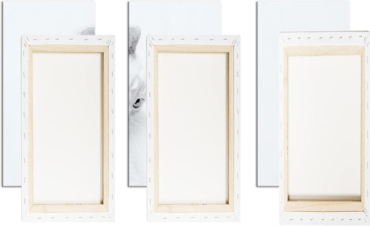 deyoli schneeweisses Kätzchen Format: 3Teilig als Leinwandbild, Motiv fertig gerahmt auf Echtholzrah