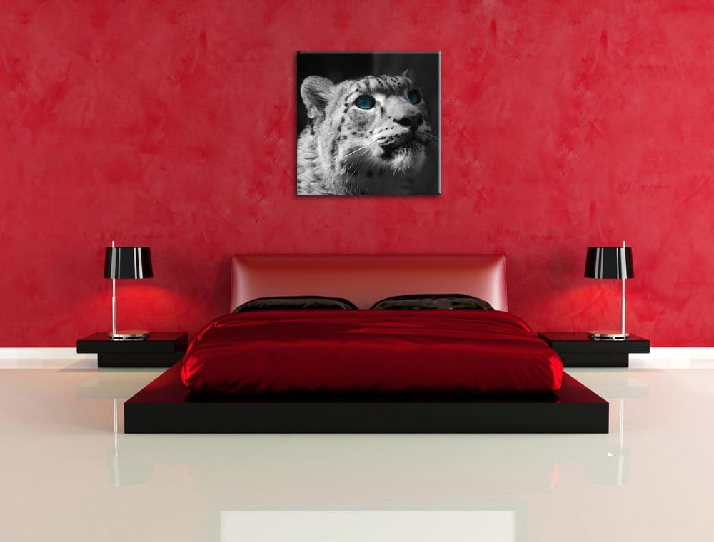 Pixxprint Schneeleopard Augen als Leinwandbild Quadratisch/Grösse: 70x70 / Wandbild/Kunstdruck/ferti