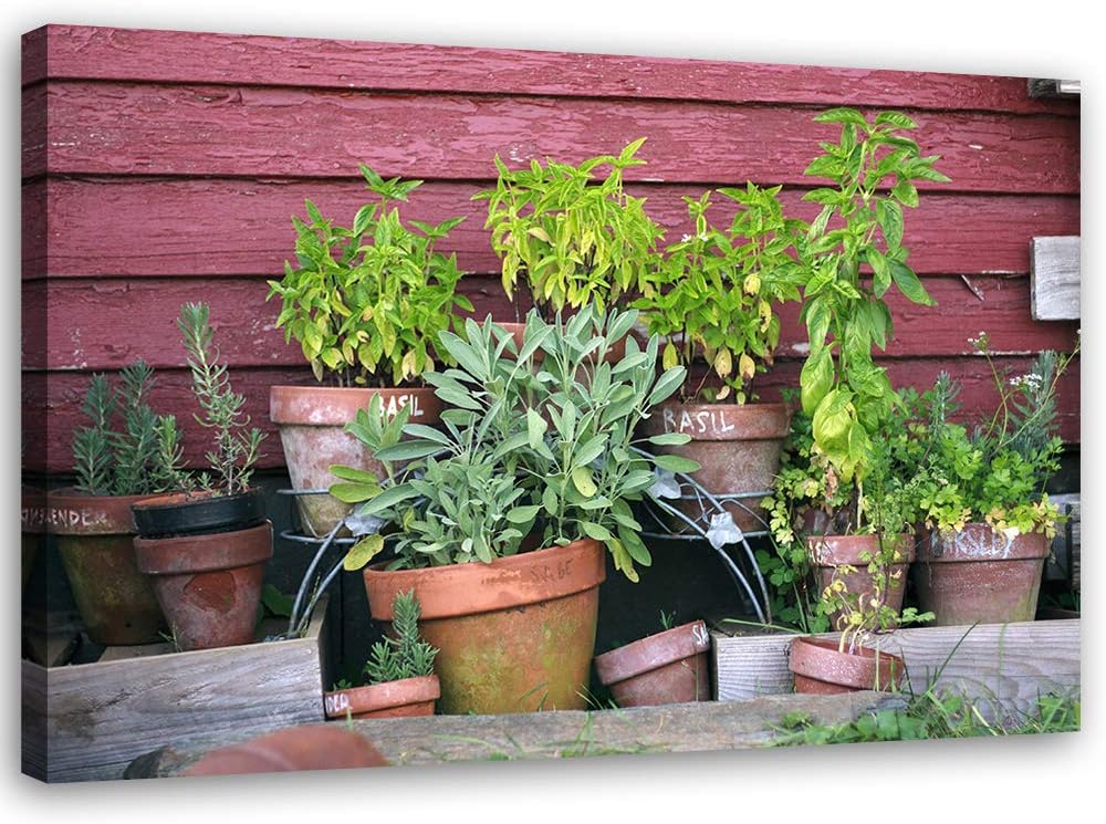 Feeby Vlies Leinwandbild Topfpflanzen 100x70 cm Wanddeko Design Kunstdruck Zimmerdeko Bilderwand Rus