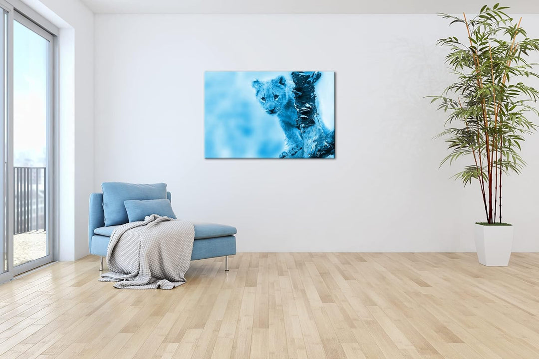 niedliches Löwenbaby in der Natur Format 80x60 Effekt: Monocrome Blau als Leinwandbild, Motiv fertig