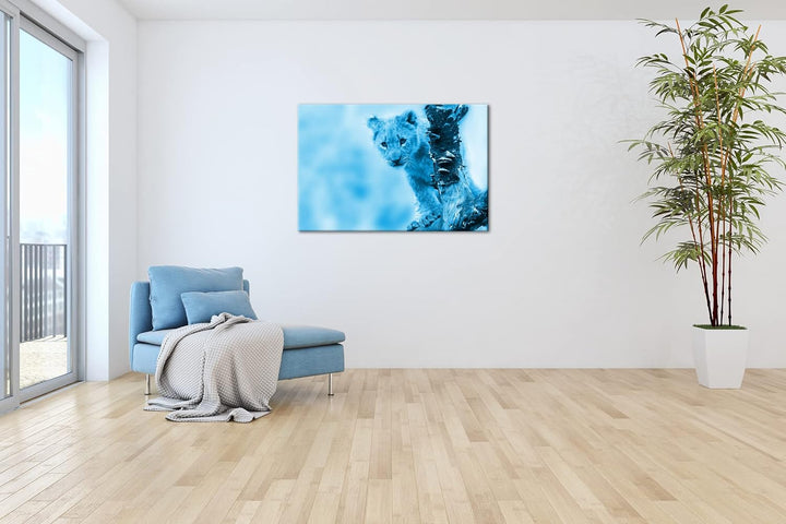 niedliches Löwenbaby in der Natur Format 80x60 Effekt: Monocrome Blau als Leinwandbild, Motiv fertig