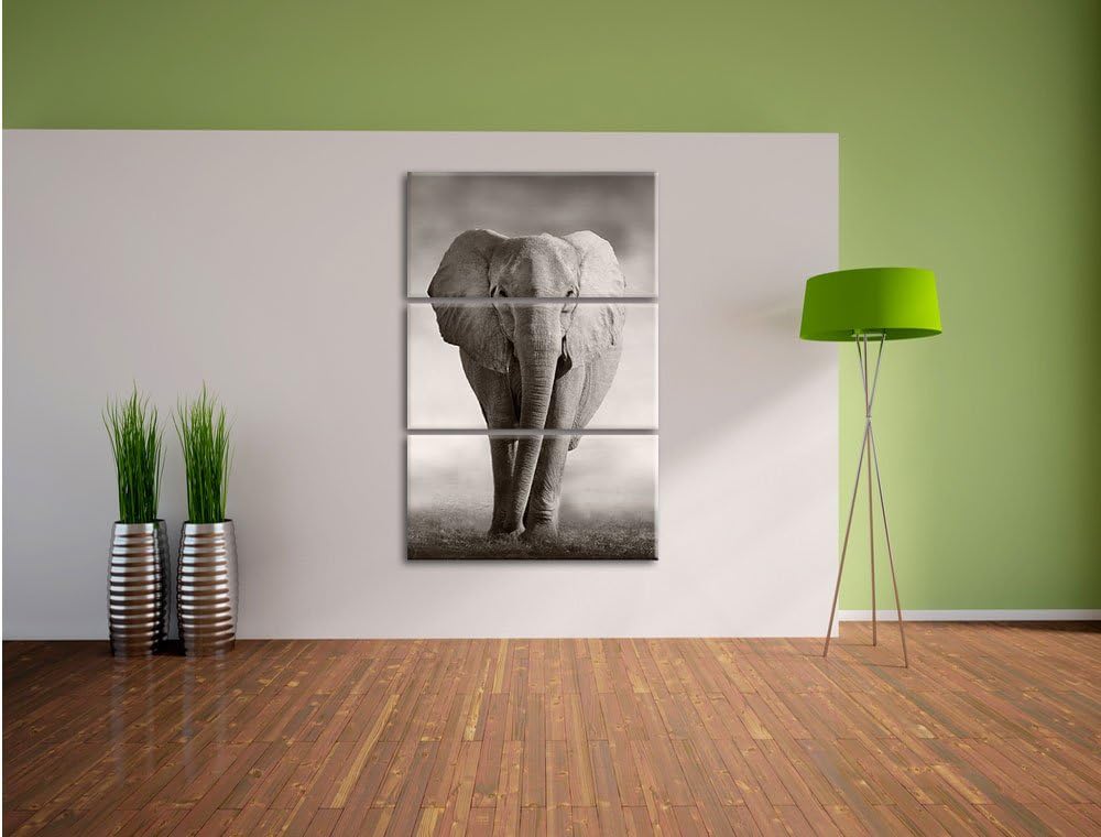 Pixxprint Elefant in Savanne 3-Teiler Leinwandbild 120x80 Bild auf Leinwand