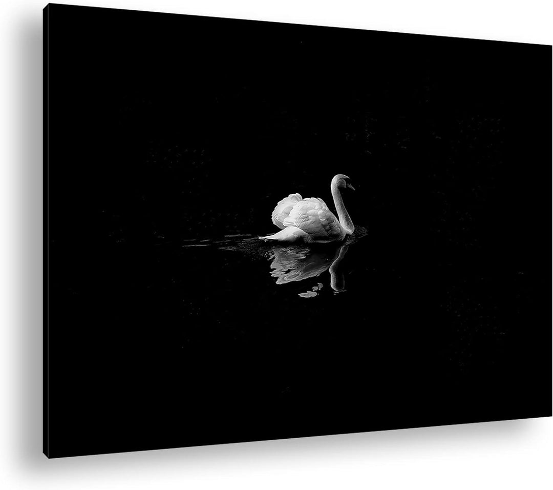 deyoli Dark einsamer Schwan Format:90x60 cm als Leinwandbild, Motiv fertig gerahmt auf Echtholzrahme