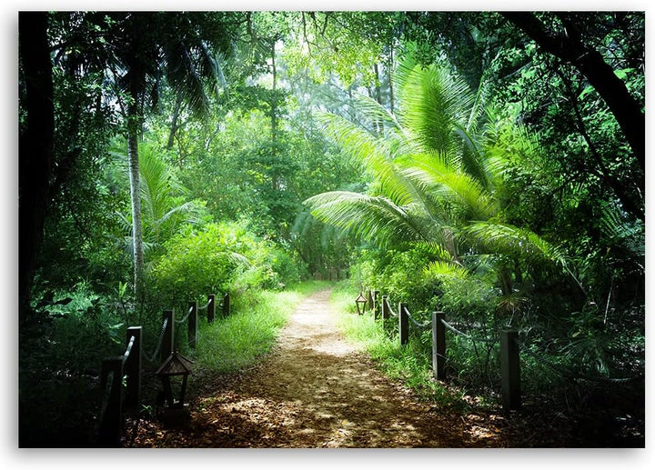 Feeby Vlies Leinwandbild Natur Bäume Dschungel 90x60 cm Druckbild Wandbild Wanddekoration Deko Wand